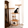 Armarkat Carpeted Real Wood Cat Scratching Furniture A6402