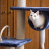 Real Wood 71" Navy Cat ClimbIng Tower Scratching Furniture