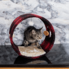 Armarkat Real Wood Cat Hideaway Tunnel, Scotch Plaid