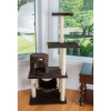 GleePet 59-Inch Brown Cat Tree Real Wood Cat Hammock