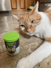 Smokey's Stash Organic Catnip Og Puss Pop Top