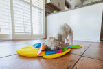 Snuffle Mat Puzzle Pad