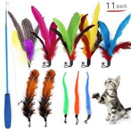 11 PCS Replacement Cat Feather Toy Set,Feather Replacement Head Retractable Cat stick Cat Products - 11PCS
