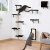 5 Pcs Wall Mounted Cat Climber Set;  Floating Cat Shelves and Perches;  Cat Activity Tree with Scratching Posts;  Modern Cat Furniture - Black