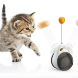 Cats Tumbler Swinging Ball - Black