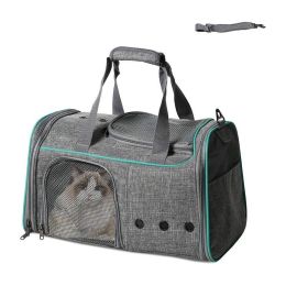 Foldable Airline Travel Pet Carrier Bag with Safety Strap - Light Gray - Pet entertainment