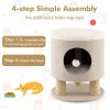 Cat Stool Bed with Scratching Posts and Plush Ball Toy - Beige - Pet entertainment