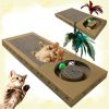 Resting Lounge Pad Cat Scratcher with Toy Ball Rolling in Hole Made of Eco Friendly Recyclable Cardboard Material - cardboard