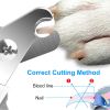 Dog Nail Clippers Pet Cat Nail Toe Trimmer Stainless Steel Grooming Tool Free Nail File Small Medium Large Dogs L Size - Blue & White