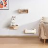 Wall Mounted Cat Tree, Cat Wall Furniture with Capsule Bed, Cushioned Shelf, Scratcher, Floating Wood Cat Tree for Indoor Cats Kitties, 3 PCS - as Pic