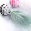 Pet cat feather throwing toy colorful starry sky amuse cat amuse cat amuse toy and interact - 3 colors, one group with opp package