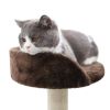 Cat Tree Sisal-Covered Scratching Post and Pad, Cat Activity Center for Kittens RT - Brown