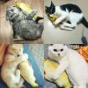 Electric Flipping Fish Toy for Cats - Gray