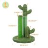 Pet Supplies Cute Cactus Tree Pet Cat Toy  With Ball Scratching Post - Green - L