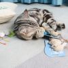 Toy simulation plush mouse three-pack pet cat toy cat grass contains catnip to tease cats - Three mice in coffee color