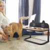 Elevated Pet Feeder with 2 Stainless Steel Bowls for Cats and Small and Medium Dogs - as show