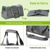 Foldable Airline Travel Pet Carrier Bag with Safety Strap - Light Gray - Pet entertainment