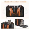 Foldable Airline Travel Pet Carrier Bag with Safety Strap - Black - Pet entertainment