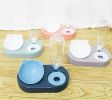 Portable Pet Bowl and Automatic Water Feeder Set, 2 in 1 Food Bowl Dish with Water Dispenser Bottle Tilted - green