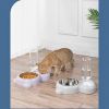 Pet Cat Bowl Stainless Steel Multifunctional Dog Cat Bowl With Water Bottle Drinking Water Feeding Bear Bowl gatos - Purple