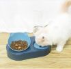 Portable Pet Bowl and Automatic Water Feeder Set, 2 in 1 Food Bowl Dish with Water Dispenser Bottle Tilted - green