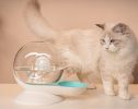 Snail-Shaped Pet Cat Automatic Flow Water Feeder Water Fountain Dispenser for Cats Dogs Small Animals, Capacity: 2.8L (99oz) - blue