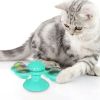 New Stylish Cat Toys For Kitten  Design Windmill And Fish  - Green - Other