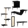 5 Pcs Wall Mounted Cat Climber Set;  Floating Cat Shelves and Perches;  Cat Activity Tree with Scratching Posts;  Modern Cat Furniture - Black