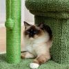 Fully Wrapped  2 In1 Cactus Cat Tree Condo With Dangling Ball  - Green - Pet Supplies