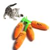 Stuffed Toy Squeak Squeaky Plush Sound Vegetables Feeding Carrot Pet Products Dog Supplies Teath Cleaning Outdoor Fun Training - as the picture