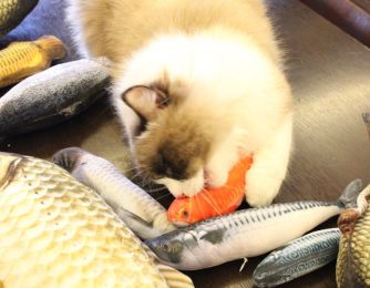 Cat toy, imitation fish toy, pet, plush cat, mint fish, cat, carp toy (Color: Saury, size: 30cm with zipper)